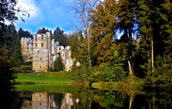 The sky, trees, pond, Park, castle