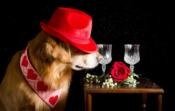 Picture flowers, red, glass, roses, hat, tie, hearts, black background