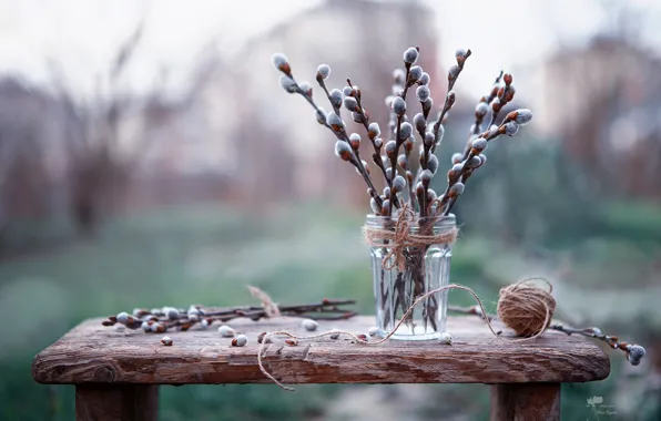 Picture Verba, bokeh, spring is coming