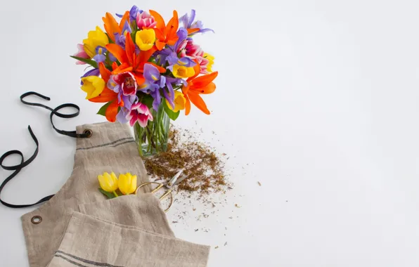 Flowers, bouquet, colors, vase, flowers, decor