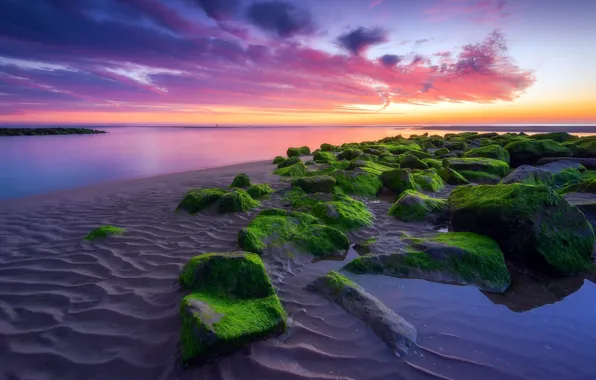Picture sea, sunset, shore