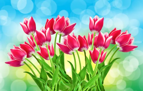Glare, background, tulips, pink