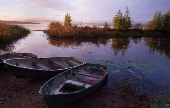 Autumn, dawn, Karelia, Vuoksa, Anastasia Chavykina