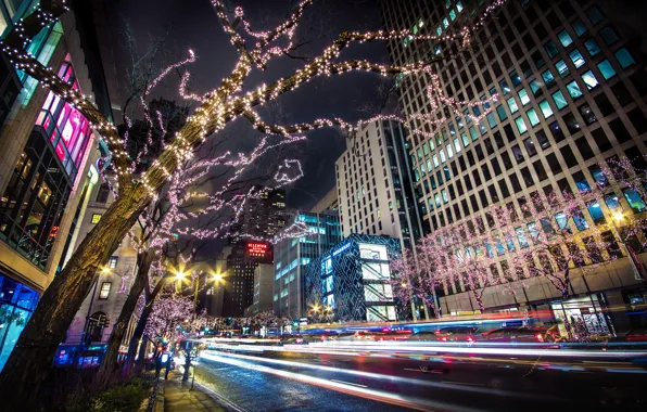 Road, trees, night, the city, lights, building, home, skyscrapers