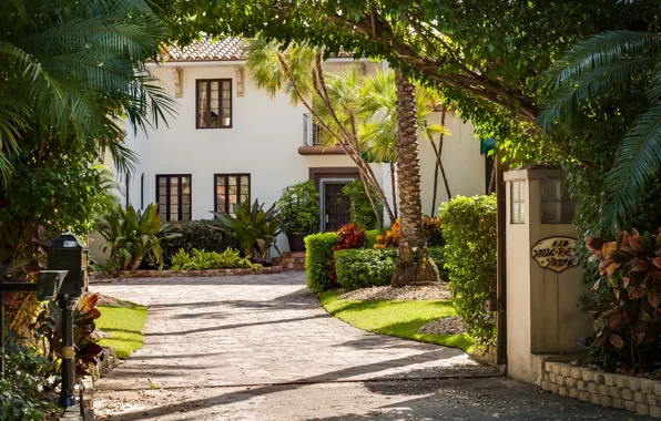 Road, the city, palm trees, Villa