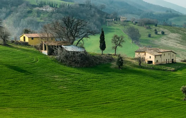 Picture field, grass, trees, mountains, house, hills, Italy, Campaign