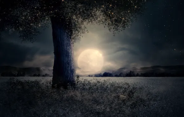 Field, the sky, stars, clouds, light, night, nature, fog