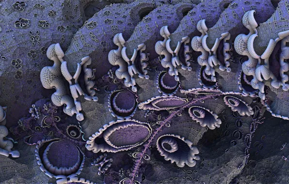 Pattern, form, 3D graphics