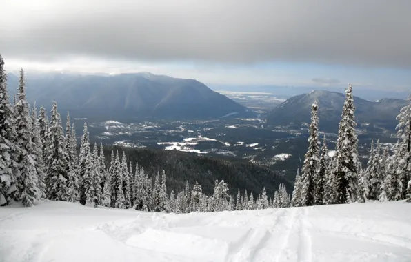 Picture winter, forest, snow, mountains, view, canyon, Glacier National Park