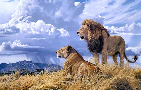 Animals, clouds, mountain, Leo, painting, lioness, Lindsay B. Scott, Samburu Majesty