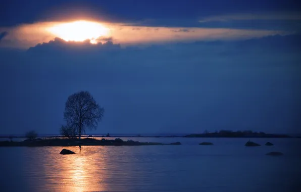 The sky, landscape, lake, tree, the evening