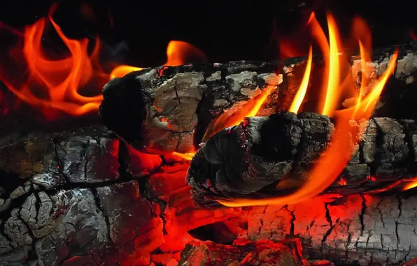 Ash, fire, wood, coal, fireplace, the fire, flame