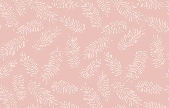 Pattern, texture, Background, feathers