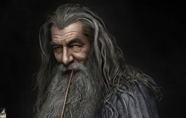 Picture art, MAG, John Ronald Reuel Tolkien, Gandalf, Hossein Diba, Gandalf the Grey - Final