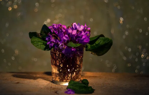 Leaves, light, flowers, glass, table, purple, still life, a bunch