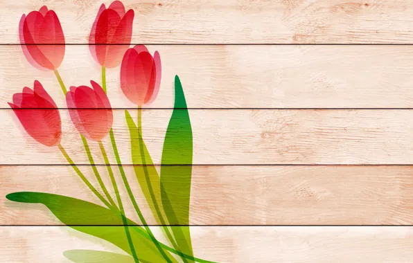 Picture flowers, Board, tulips, postcard, template, blank