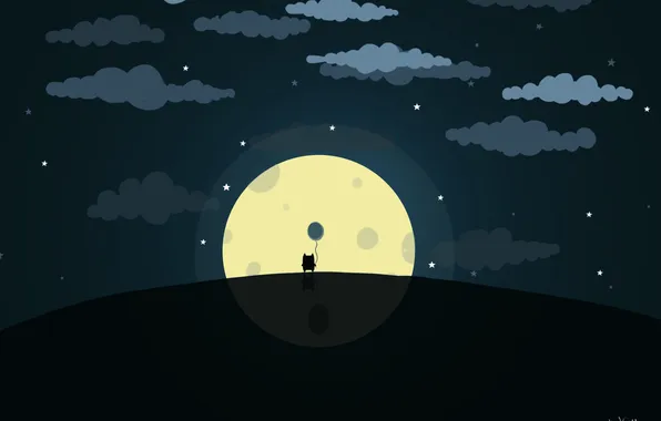 The sky, cat, stars, night, animal, the moon, ball