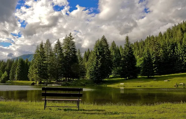 Forest, the sky, grass, water, clouds, mountains, bench, lake