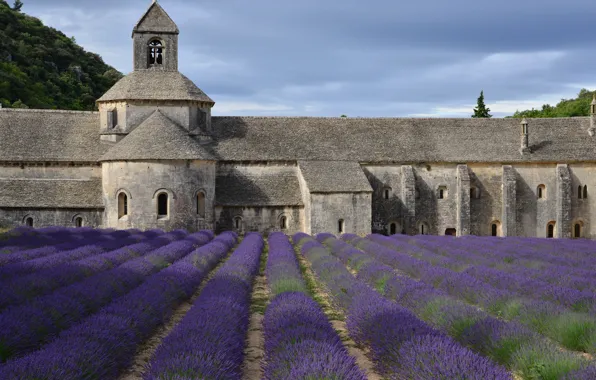 The sky, flowers, strip, castle, France, architecture, the ranks, lavender