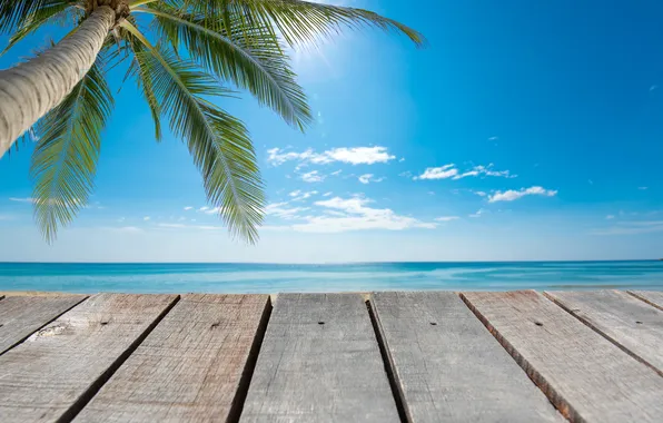 Picture sea, beach, summer, the sky, palm trees, summer, beach, sea