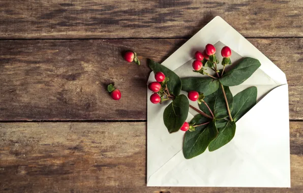 Flowers, romantic, the envelope, letter