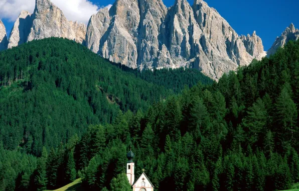 Picture forest, mountains, top, Chapel