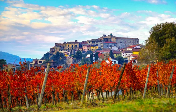 Picture autumn, home, Italy, vineyard, Campaign, Taurasi