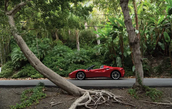 Ferrari, 2017, 488, Ferrari 488 Spider 70th Anniversary