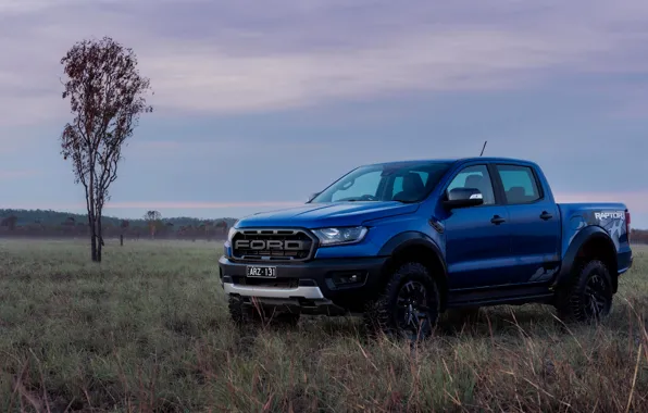 Picture field, blue, Ford, the evening, Raptor, pickup, 2018, Ranger