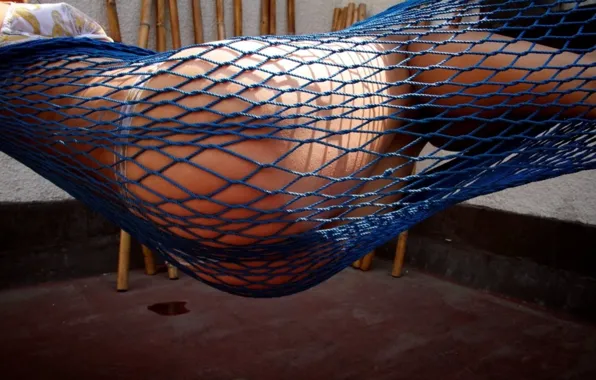 Ass, Ass, hammock, ASS