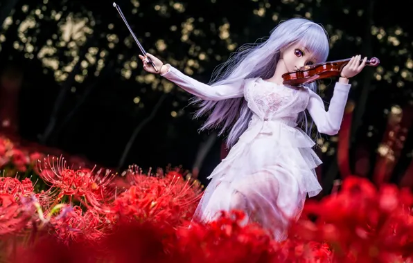 Girl, flowers, violin, hair, doll
