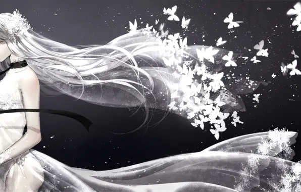 Butterfly, collar, the bride, sad