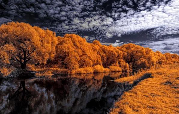 Autumn, the sky, clouds, trees