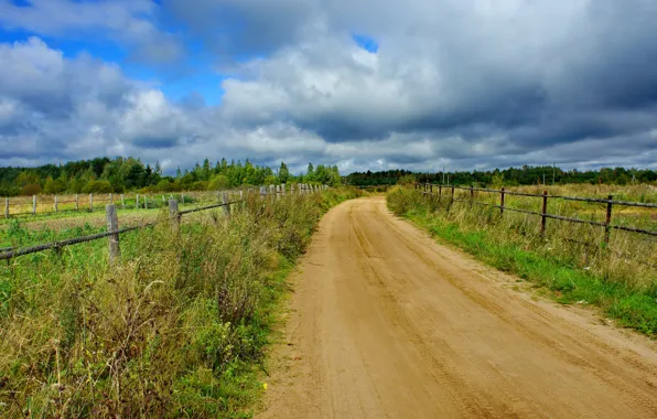 Picture road, forest, summer, the sky, clouds, landscape, fence