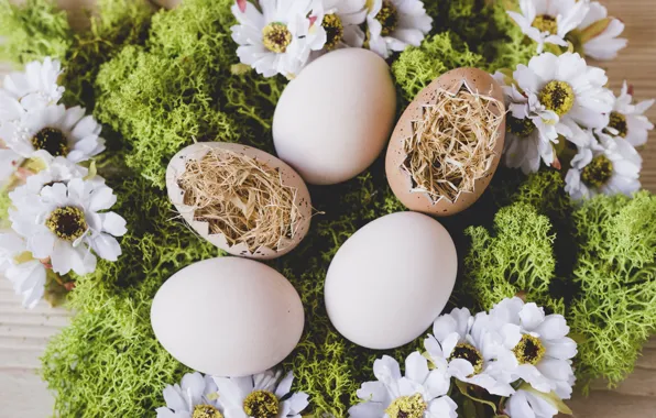 Flowers, Easter, Eggs, Moss, Hay, Holiday