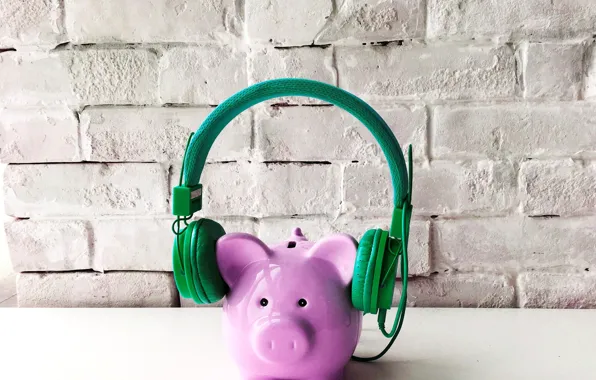 Picture piggy, headphones, pig