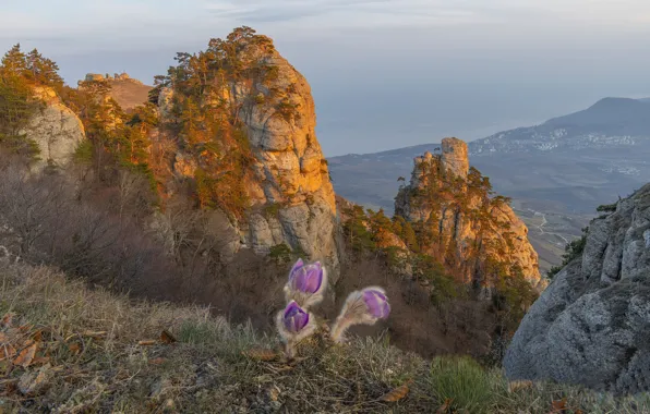 Landscape, flowers, nature, rocks, spring, Crimea, sleep-grass, cross