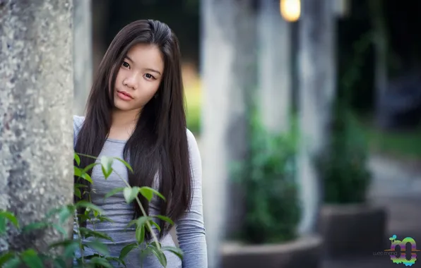 Look, girl, background, Knee Tan