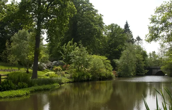 Bridge, nature, Park, river, photo