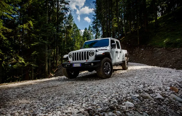 White, SUV, pickup, Gladiator, 4x4, Jeep, Rubicon, forest road