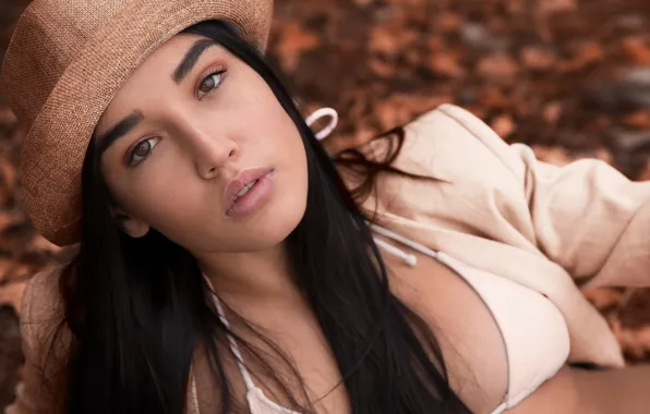 Picture sponge, brown-eyed, Angeline, Joan LJ