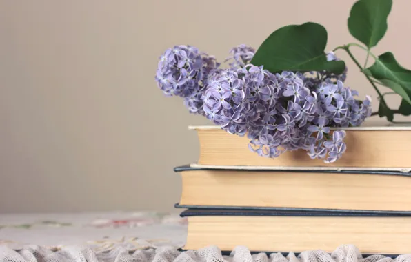 Picture flowers, branches, spring, book, lilac