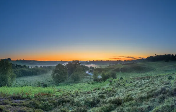 Road, field, summer, grass, trees, sunset, fog, blue