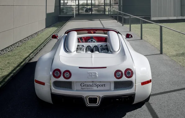 Bugatti Veyron, Bugatti, exhaust, roadster, back, Veyron, Grand Sport, Wei Long