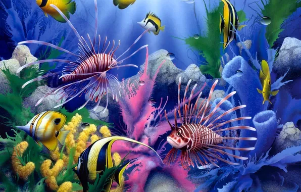 Picture colorful, painting, fish, corals, underwater world, David Miller, Lions of the Sea
