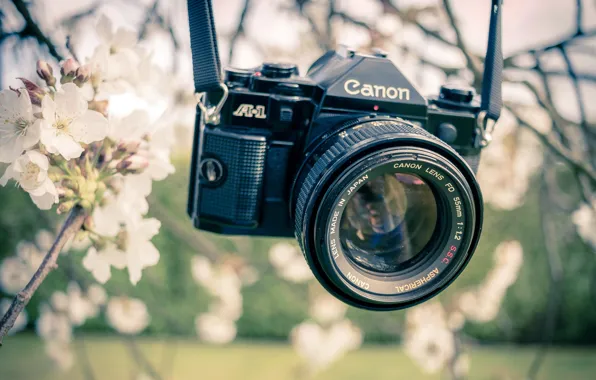 Picture spring, camera, garden, Canon