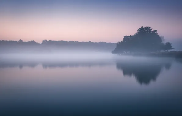 Lake, morning, fog, dawn, mist, lakeshore