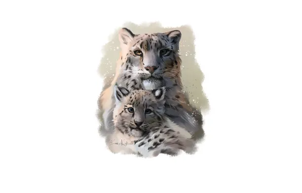Baby, family, leopards