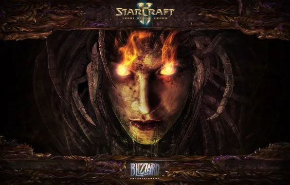 Picture Blizzard, Starcraft 2, Heart of The Swarm, StarCraft