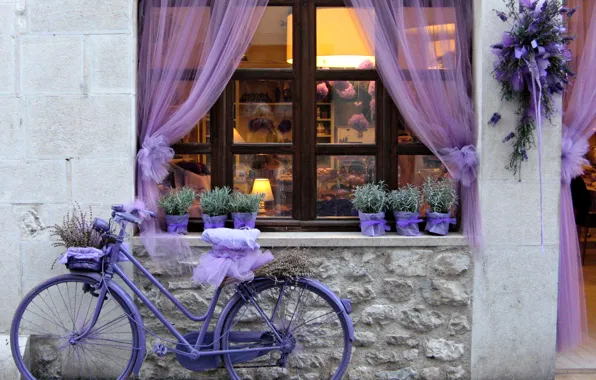 Purple, flowers, bike, lavender
